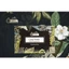 Hộp Thơm Khử Mùi Ẩm Mốc Trong Phòng, Ô Tô Hương Trà Xanh AIR-Q Cosy Fresh 160g