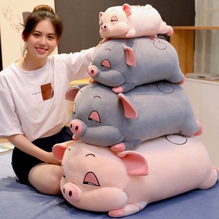 THÚ BÔNG HEO NGỦ HÍ SIÊU ĐẸP KHỔNG LỒ [RẤT MỊN]