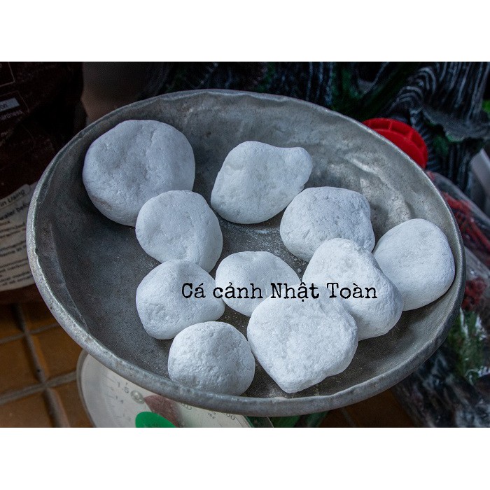 SỎI TRẮNG DẠNG TRỨNG TRANG TRÍ BỀ CÁ TIỂU CẢNH