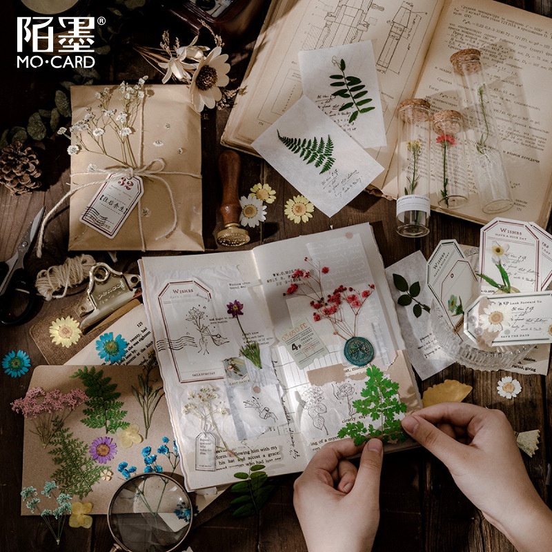 Sticker hoa khô làm từ hoa thật vintage dán sổ retro mẫu hoa lá HD113-K61 DIY Crafts, Scrapbook, Journal, Thủ công