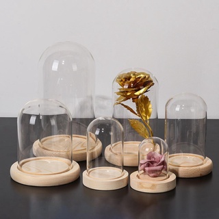 JUIC Chống Bụi Đèn Cổ Tích Trang Trí Nhà Terrarium Chai Trong Suốt Bình Thủy Tinh Hoa Hộp Bảo Quản