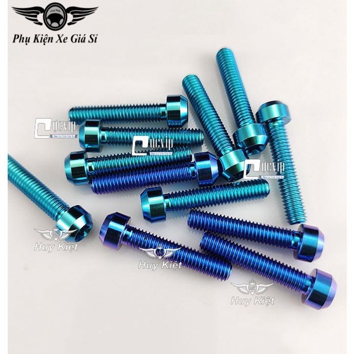 Ốc Titan GR5 6Li3 Đầu Trụ Gắn Gù Bao Tay, Gù Tay Lái, Lóc Máy Mọi Loại ...
