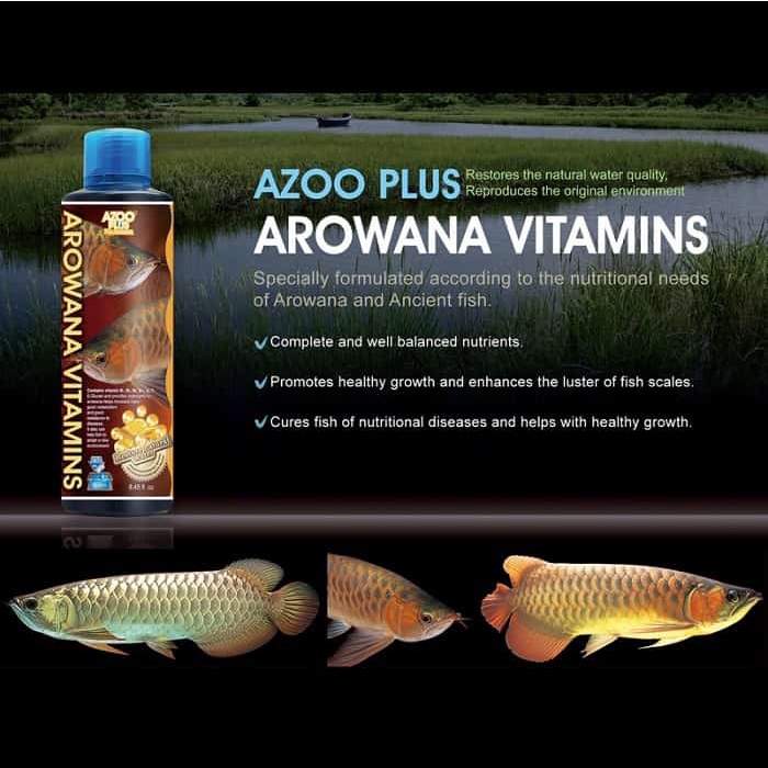 Azoo Plus Arowana Vitamins 250ml tốt cho cá rồng, cá cảnh | Shopee Việt Nam