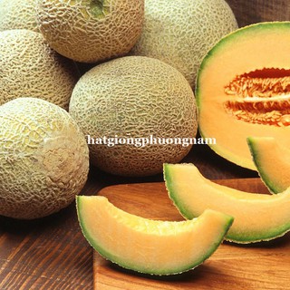 20 Hạt - Hạt Giống  Dưa Lưới Ruột Vàng Phương Nam