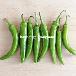 5 Hạt - Hạt Giống Ớt Sừng Ngọt Hàn Quốc Phương Nam