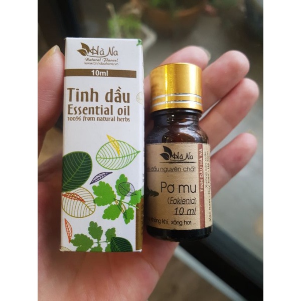 Tinh Dầu Pơ Mu - tinh dầu hà na
