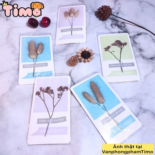 Thiệp đẹp chúc mừng sinh nhật thiệp hoa khô
