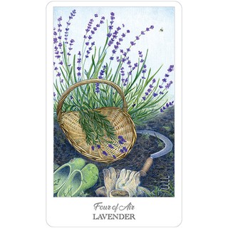 Bộ Bài Herbcrafter's Tarot (Mystic House Tarot Shop) - Bài Gốc Authentic Chính Hãng 100%