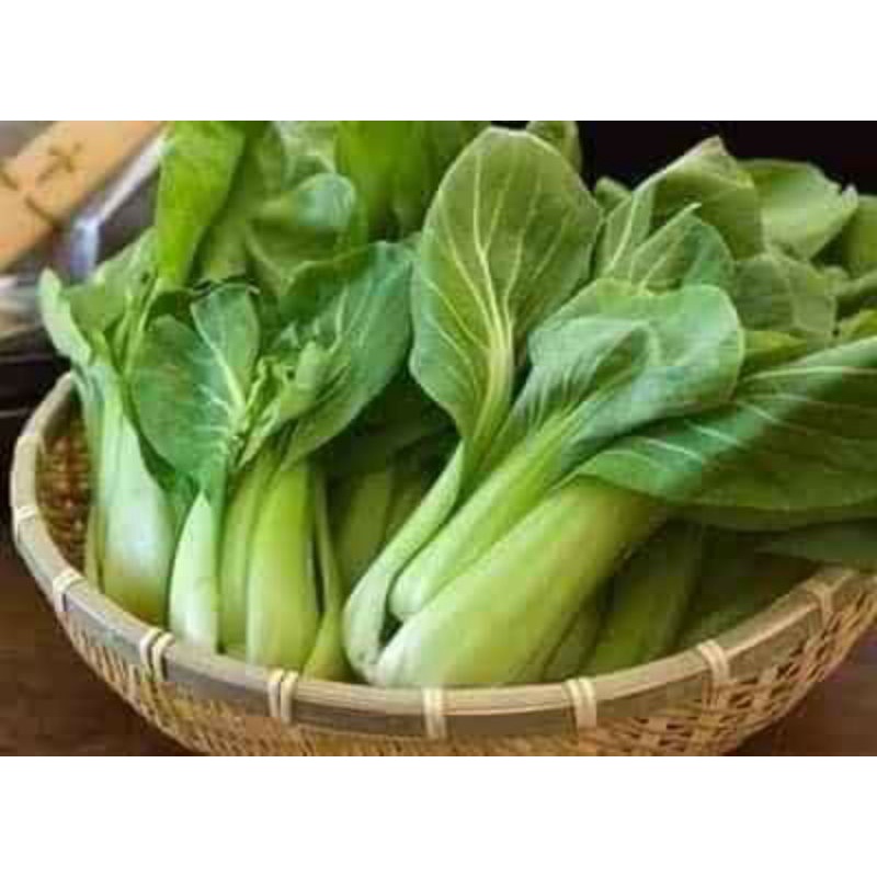 Hạt Giống Cải Chip Xanh( Cải Thìa) Hàng F1 Lá Lớn Ăn Ngọt Rất Năng Suất