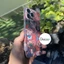 Tấm dán Skin Mặt sau FULL VIỀN Tương thích với 17 pro max , 16 pro max , 15 pro max