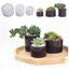 BTF Bình Hoa Đúc Khuôn Succulents Planter Nhựa Khuôn Thực Vật Pha Lê Epoxy Khuôn DIY Xà Phòng Khuôn