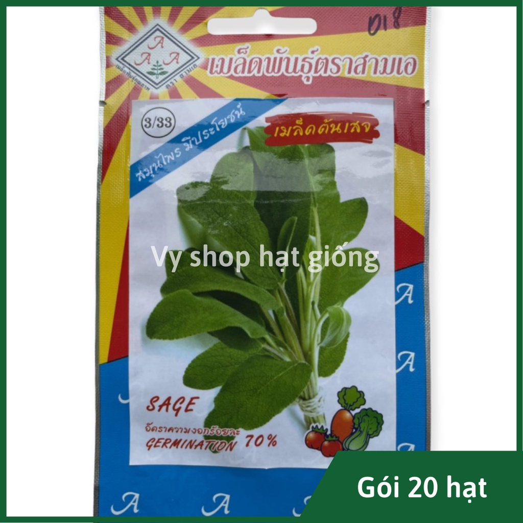 Hạt giống xô thơm (sage) Thái Lan gói 20 hạt | Shopee Việt Nam