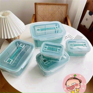 Hộp nhựa đựng thực phẩm bộ 5 món kèm rổ De'cor 90 an toàn tuyệt đối