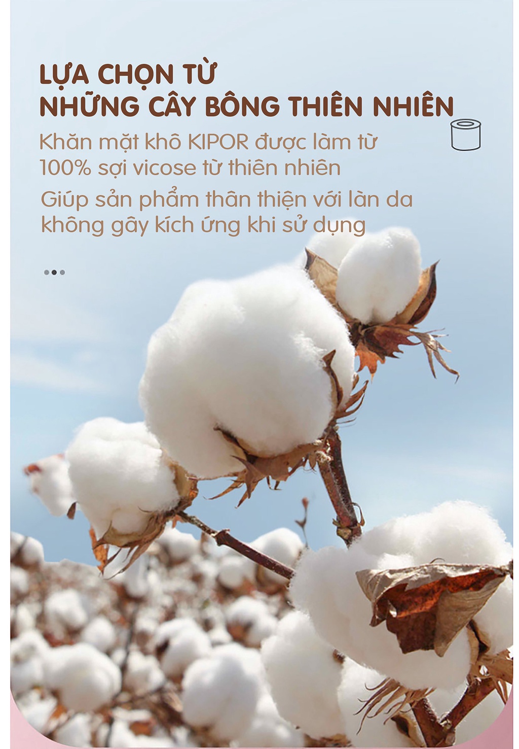 Khăn mặt khô Kipor 2