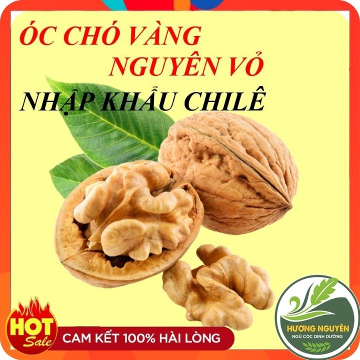 Óc Chó Vàng Nguyên Vỏ, Nhập Khẩu Chile - Hạt Óc Chó Vàng Rang Tay, Dinh ...