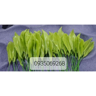 Nụ, lá đào