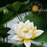 phuong2108