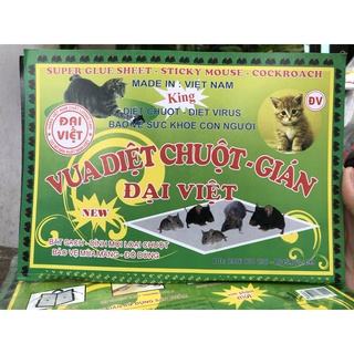 Combo 10 tấm keo bẫy chuột siêu dính chuột bắt được tất cả các loại chuột không mùi