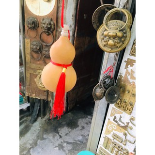 Quả Bầu Hồ lô Quả bầu thật treo phòng ngủ đầu giường vật phẩm phong thủy