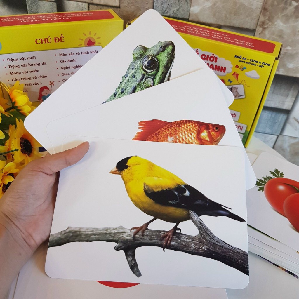 Thẻ Flashcard A5 khổ 15x20cm Bộ 100 thẻ học thông minh 14 chủ để song ngữ dày đẹp dạy bé theo phương pháp Glenn Doman