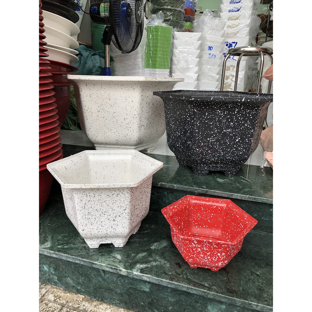 chậu nhựa lục giác mai giả đá 550 | Shopee Việt Nam