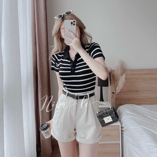 Áo len CD thêu ong, len mỏng montoghi kiểu polo cổ bẻ 128