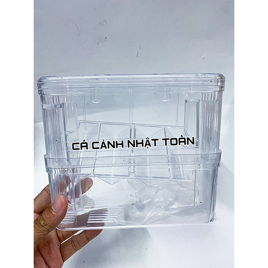 LỒNG ẤP CÁ 7 MÀU ĐẺ CỠ BỰ 17x7x15cm