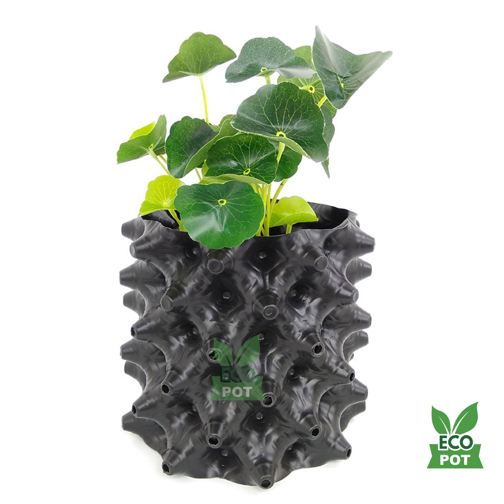 Bầu nhựa ươm cây Ecopot cao 30cm x dài 50m (kèm 100 vít) | Shopee Việt Nam