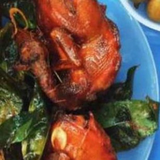 Cây Giống Mắc Mật Gia Vị Quay Thịt Không Thể Thiếu .