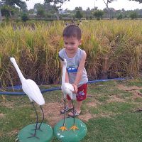 trucquynh.84