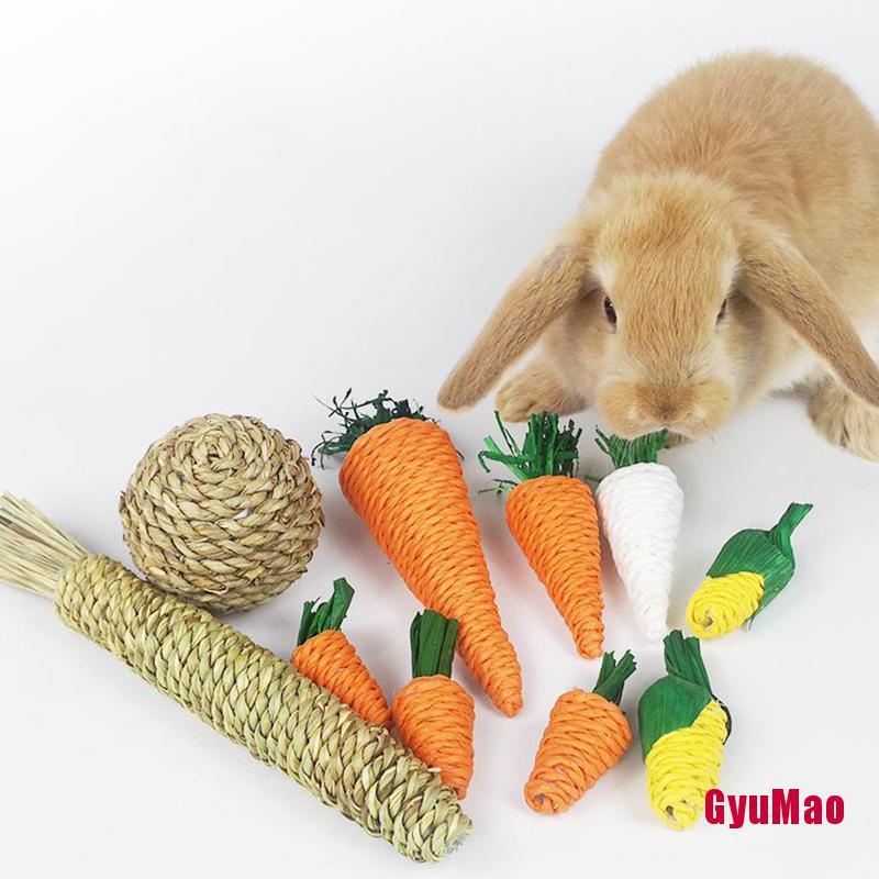 Bóng Đồ Chơi Mài Răng Cho Thú Cưng Hamster Thỏ | Shopee Việt Nam
