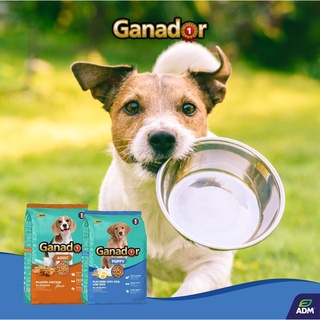 Hạt Cho Chó Ganador Premium 3kg Nhiều Dinh Dưỡng Phát Triển Trí Não Bảo Vệ Sức Khỏe