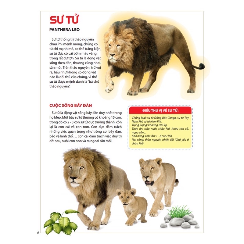 Ảnh Sách - Atlas Động Vật - Vương Quốc Động Vật 1