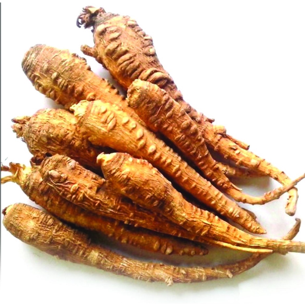 Bạch chỉ khô thượng hạng JINDO 1kg tác dụng hỗ trợ hôi miêng, viêm xoang