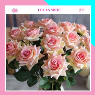 Hoa Giả- Combo 10 Hoa Hồng Cánh Xoắn 1 Bông 47cm Decor Nhà Cửa, Văn Phòng Siêu Xinh