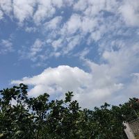kimank_05.210