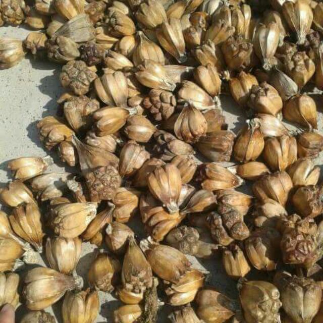 Dứa dại khô thượng hạng JINDO 1kg hỗ trợ giải độ, vi_êm gan, sỏi thận