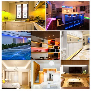 Dải đèn LED neon silicon linh hoạt 5M Băng LED chống nước tuyến tính nhúng, Dây neon linh hoạt điện áp thấp 12V cho trong nhà ngoài trời Trang trí tiệc tại nhà