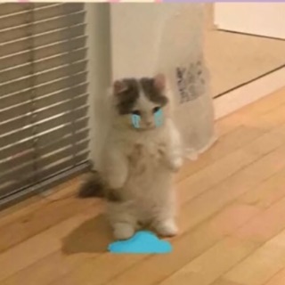 _haison_