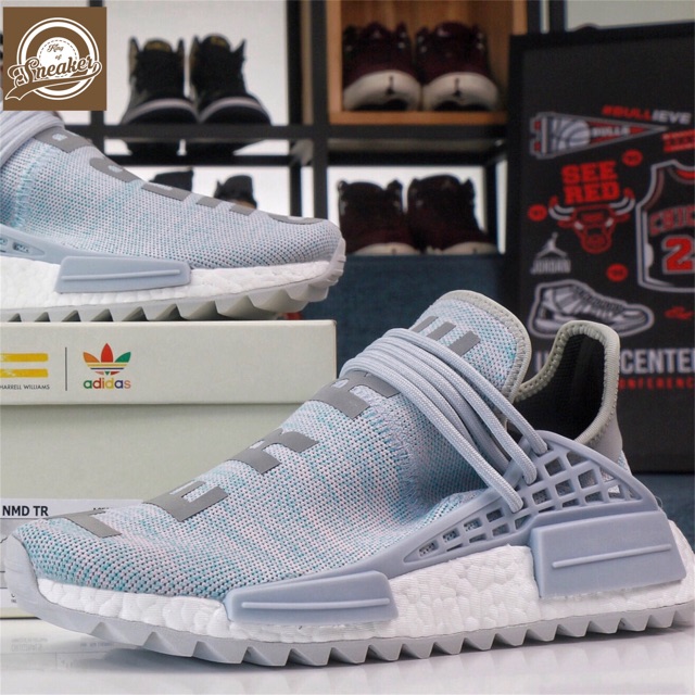 Cuerpo terre human race clearance