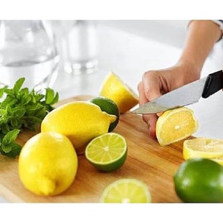 Cây Chanh Vàng Mỹ cao 50-70cm( ảnh thật số 2) .
