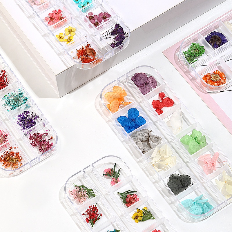Hoa khô trang trí móng tay - Set 12 màu hoa khô nail, cánh hoa to và mỏng đắp ẩn theo phong cách Hàn Nhật