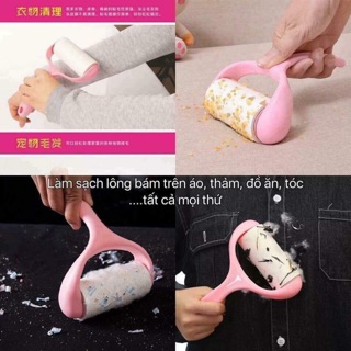 CÂY LĂN BỤI QUẦN ÁO