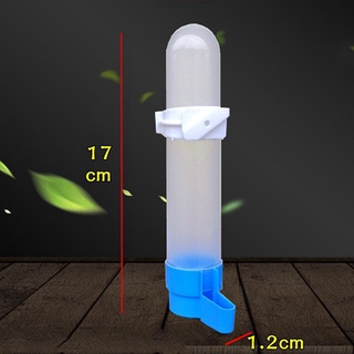 Bình Uống Nước Tự Động 240ml / 120ml Gắn Lồng Chim Vẹt