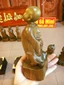 Tuỳ duyên gỗ bách xanh