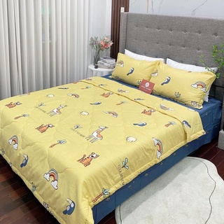 Chăn Ga Gối Cotton Living Set 5 Món, Ga Giường Cotton 100% Đủ Size