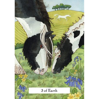 Bộ Bài Witches' Wisdom Tarot (Mystic House Tarot Shop) - Bài Gốc Authentic Chính Hãng 100%