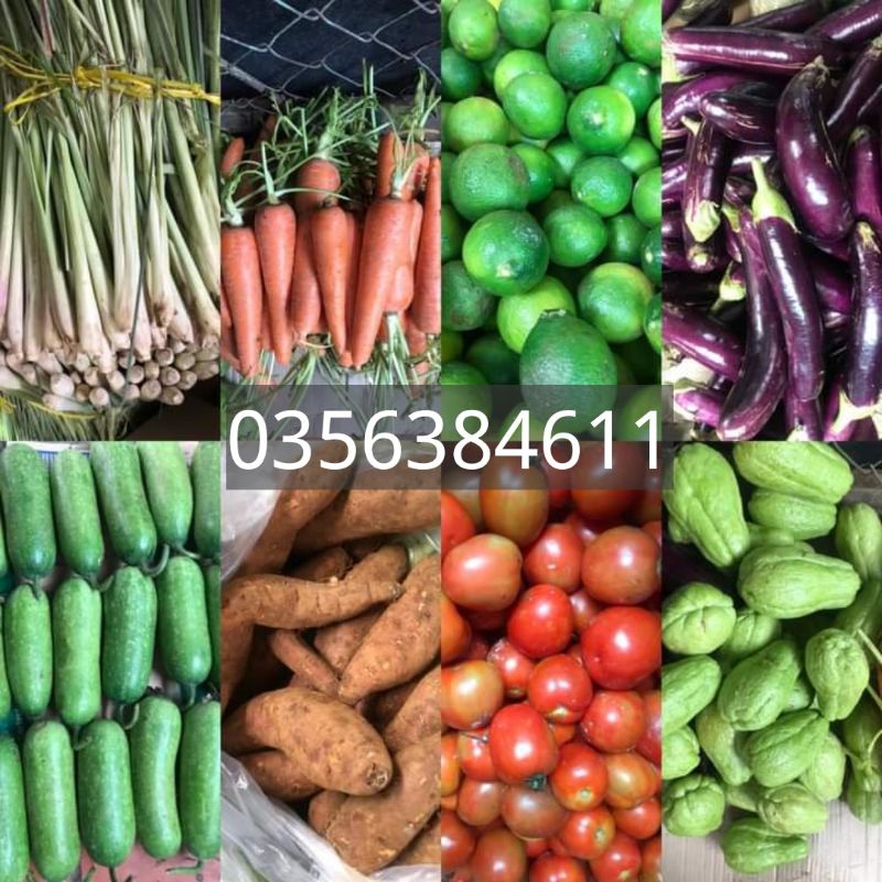 [HCM] Rau Củ Đà Lạt Các Loại (Kg) | Shopee Việt Nam