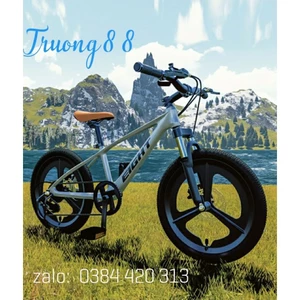 Xe đạp thể thao 20inh EIGHT Hợp kim Magie