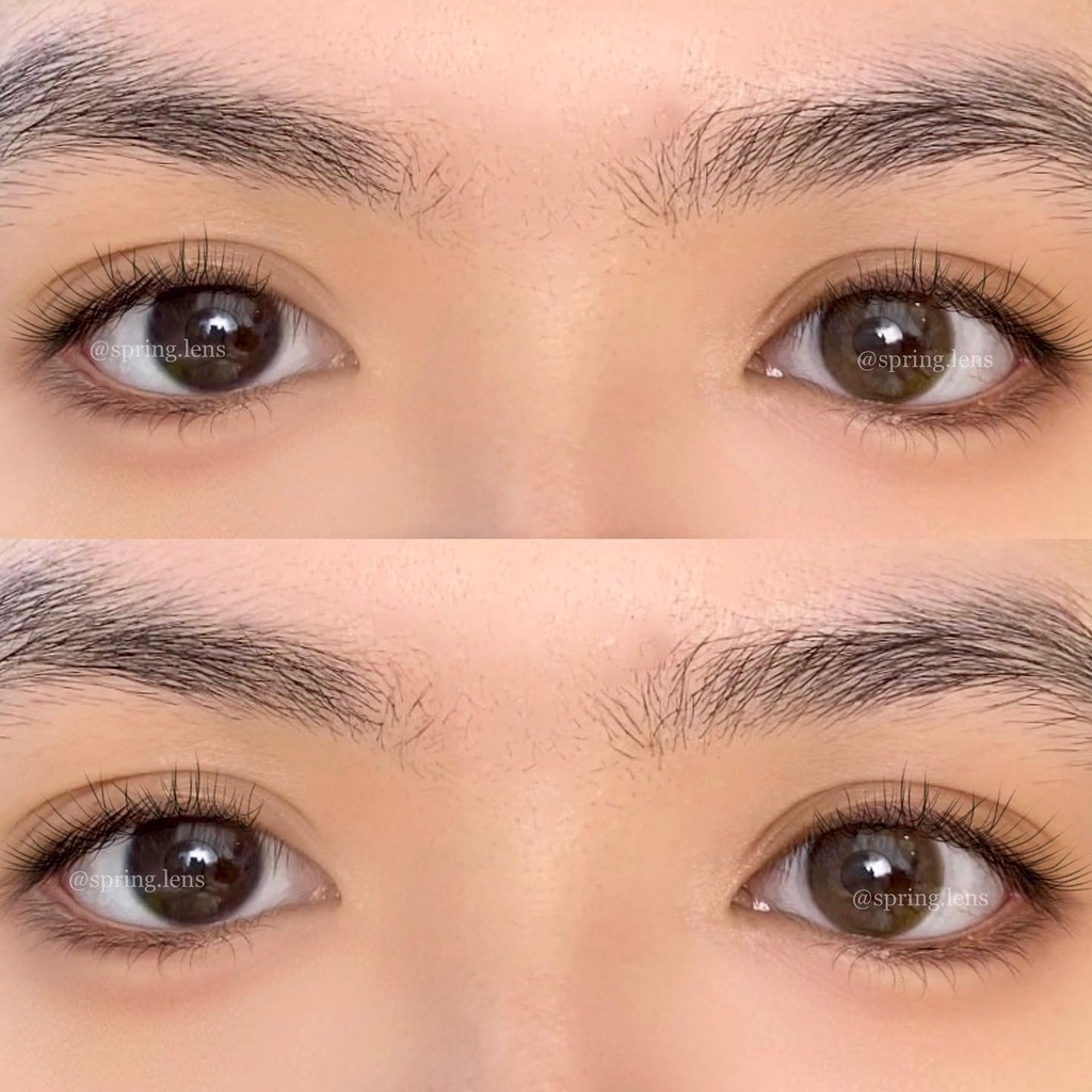 Kính áp tròng Latte Brown nâu trà không giãn 1 tháng | Spring Lens